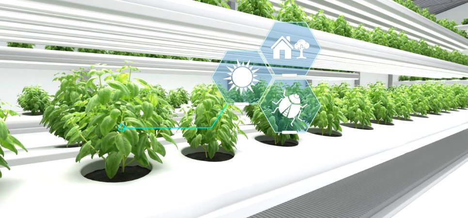 Vertical Farming